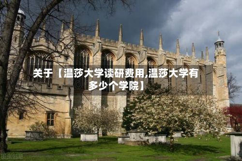 关于【温莎大学读研费用,温莎大学有多少个学院】-第1张图片