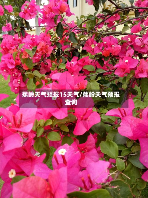 蕉岭天气预报15天气/蕉岭天气预报查询-第1张图片