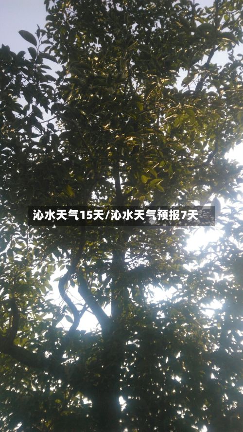 沁水天气15天/沁水天气预报7天-第1张图片