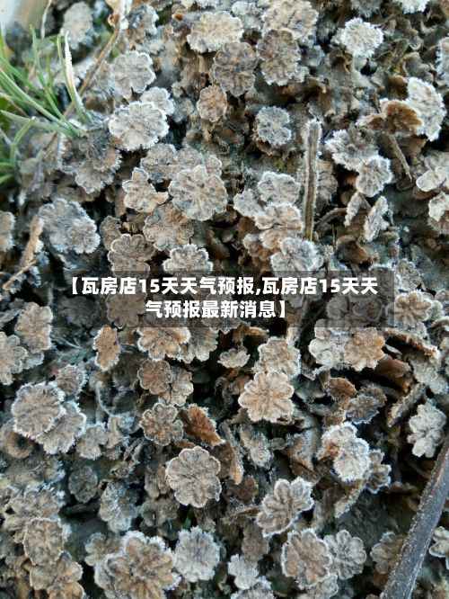 【瓦房店15天天气预报,瓦房店15天天气预报最新消息】-第1张图片