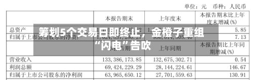 筹划5个交易日即终止，金橙子重组“闪电	”告吹-第1张图片