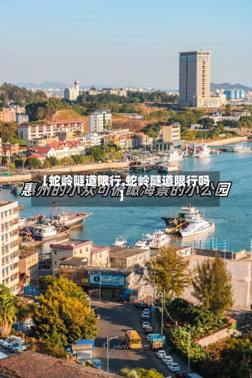 【蛇岭隧道限行,蛇岭隧道限行吗】-第1张图片