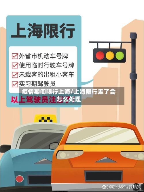 疫情期间限行上海/上海限行走了会怎么处理-第1张图片