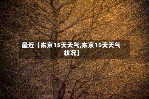 最近【东京15天天气,东京15天天气状况】-第1张图片