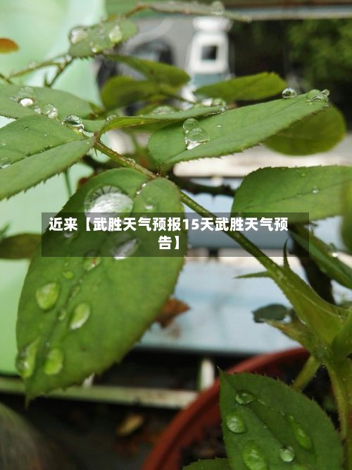近来【武胜天气预报15天武胜天气预告】-第1张图片