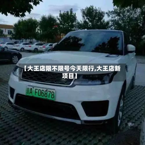 【大王店限不限号今天限行,大王店新项目】-第1张图片