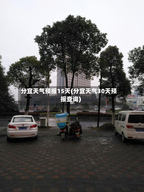 分宜天气预报15天(分宜天气30天预报查询)-第1张图片