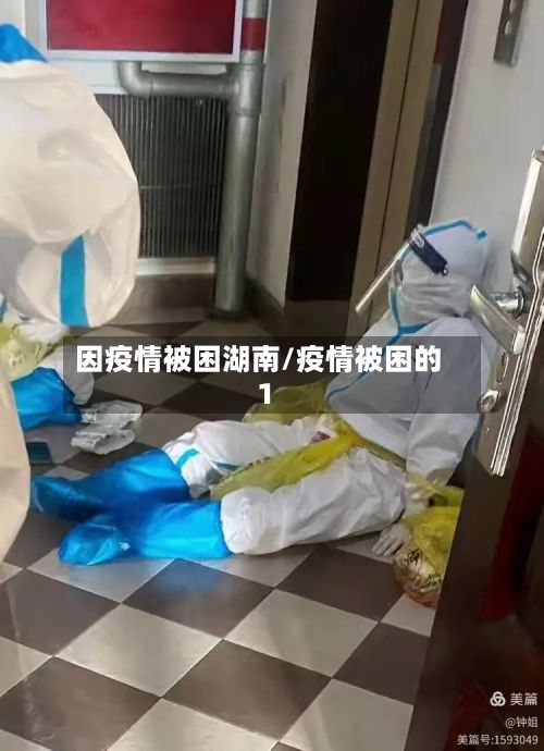 因疫情被困湖南/疫情被困的1-第1张图片