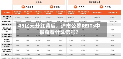 43亿元分红背后，沪市公募REITs中报藏着什么信号？-第1张图片