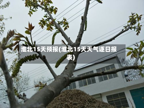 淮北15天预报(淮北15天天气逐日报表)-第1张图片