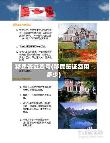 移民签证费用(移民签证费用多少)-第1张图片