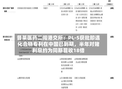 普莱医药二闯港交所：PL-5获批即遇化合物专利在中国已到期	，半年对赌利息约为同期营收18倍-第1张图片