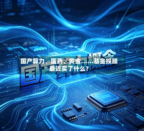 国产算力、医药、黄金……基金投顾最近买了什么？-第1张图片
