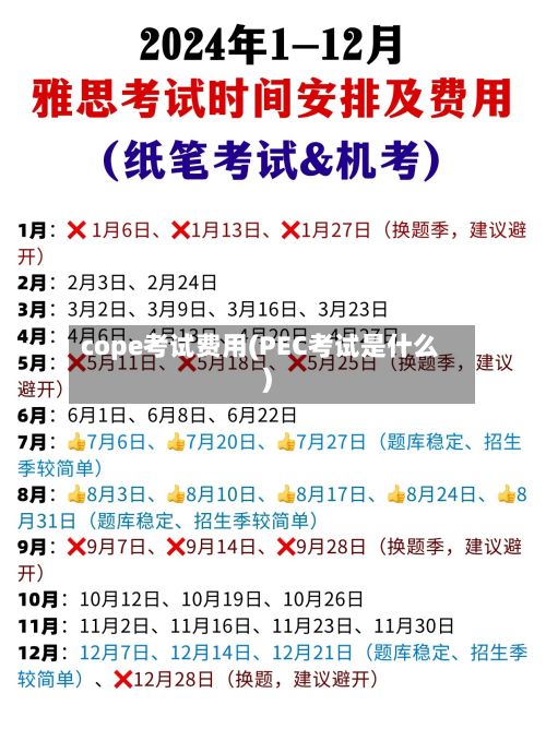 cope考试费用(PEC考试是什么)-第1张图片