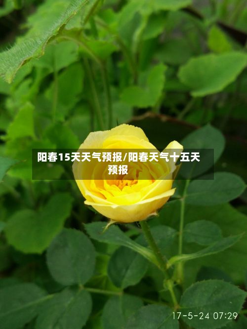 阳春15天天气预报/阳春天气十五天预报-第1张图片