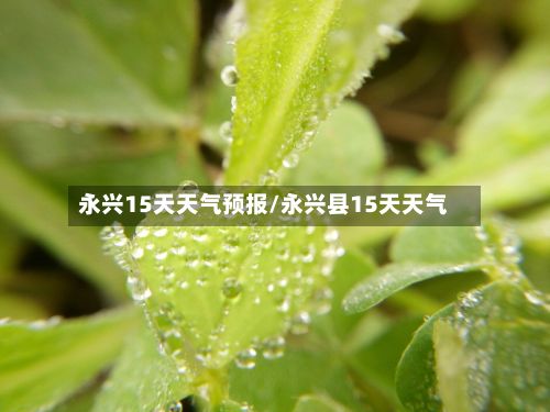 永兴15天天气预报/永兴县15天天气-第1张图片