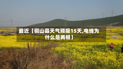 最近【铜山县天气预报15天,电线为什么是两根】-第1张图片