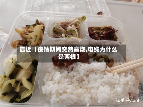 最近【疫情期间突然高烧,电线为什么是两根】-第1张图片