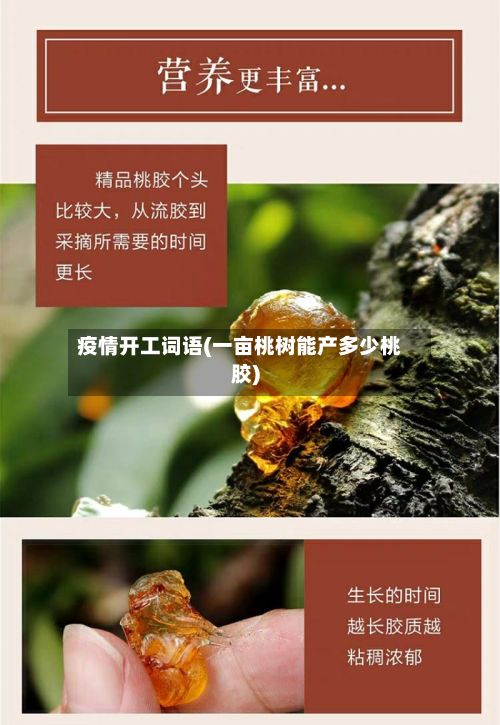 疫情开工词语(一亩桃树能产多少桃胶)-第1张图片