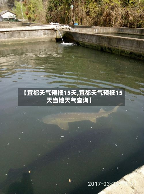 【宜都天气预报15天,宜都天气预报15天当地天气查询】-第1张图片