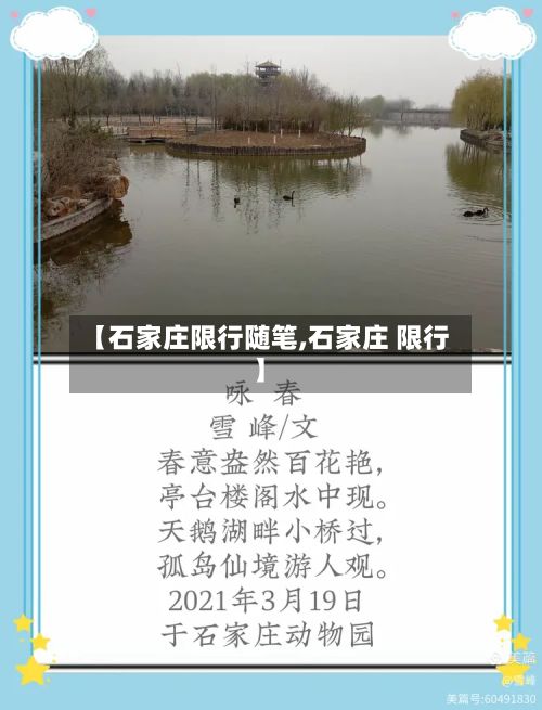 【石家庄限行随笔,石家庄 限行】-第1张图片