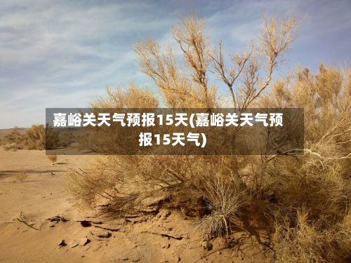 嘉峪关天气预报15天(嘉峪关天气预报15天气)-第1张图片