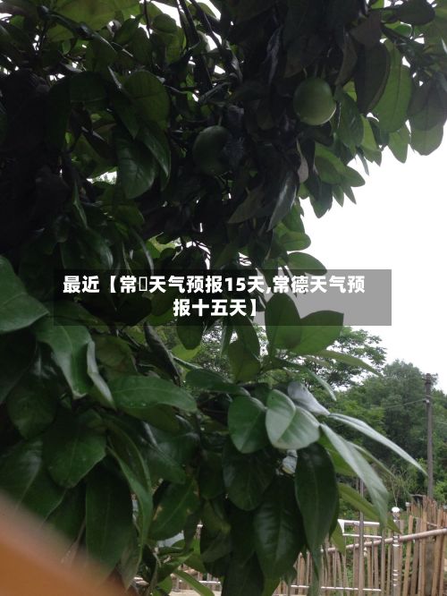 最近【常徳天气预报15天,常德天气预报十五天】-第1张图片
