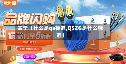 关于【什么是qs标准,QSZG是什么标准】-第1张图片