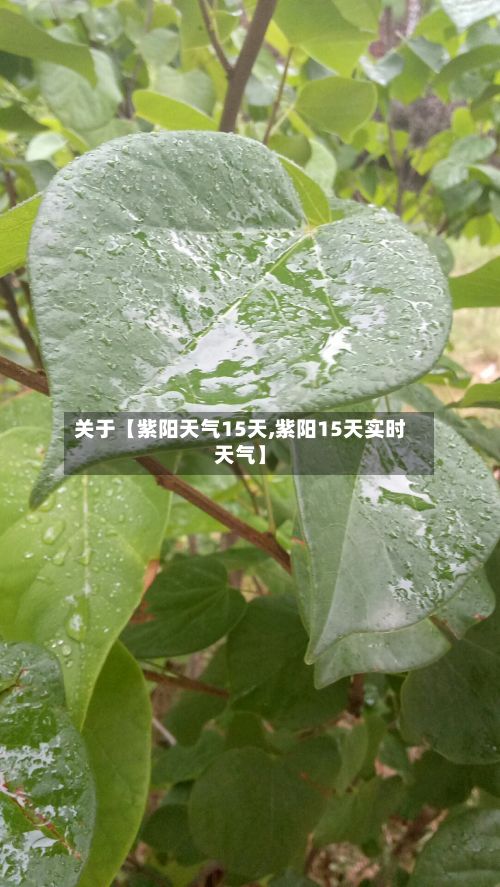 关于【紫阳天气15天,紫阳15天实时天气】-第1张图片