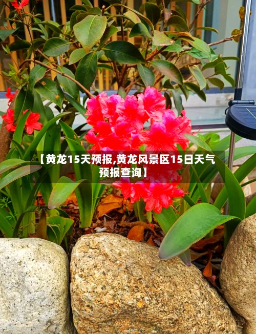 【黄龙15天预报,黄龙风景区15日天气预报查询】-第1张图片