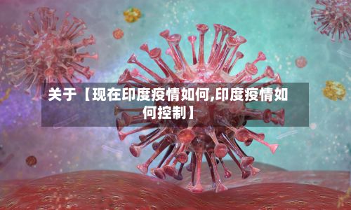 关于【现在印度疫情如何,印度疫情如何控制】-第1张图片
