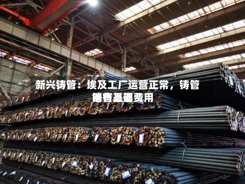 新兴铸管：埃及工厂运营正常	，铸管销售基础费用略有上调-第1张图片