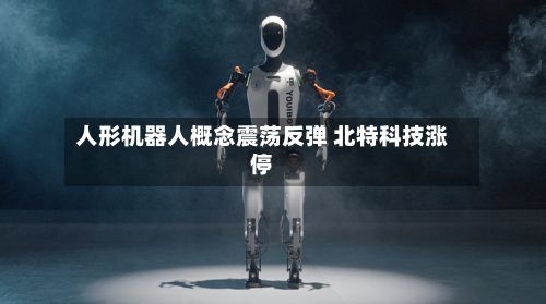 人形机器人概念震荡反弹 北特科技涨停-第1张图片