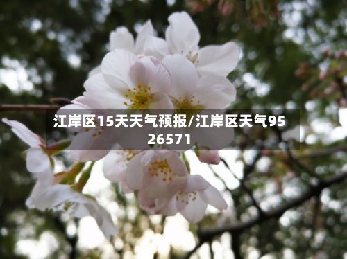 江岸区15天天气预报/江岸区天气9526571-第1张图片
