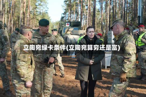 立陶宛绿卡条件(立陶宛算穷还是富)-第1张图片
