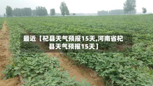 最近【杞县天气预报15天,河南省杞县天气预报15天】-第1张图片