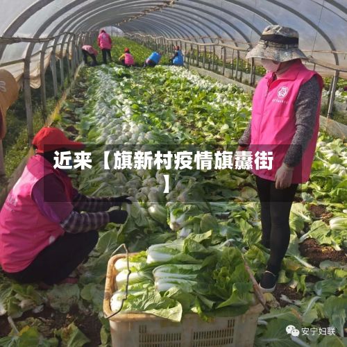 近来【旗新村疫情旗纛街】-第1张图片