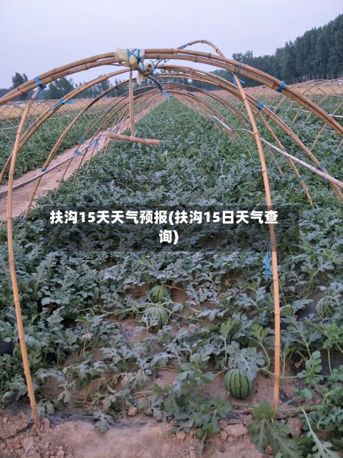 扶沟15天天气预报(扶沟15日天气查询)-第1张图片