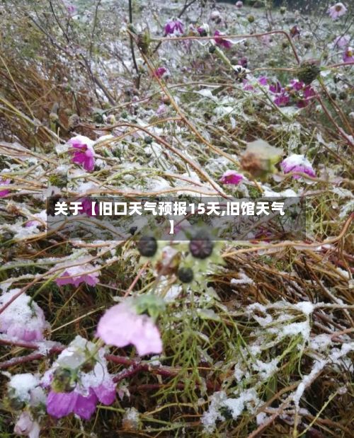 关于【旧口天气预报15天,旧馆天气】-第1张图片