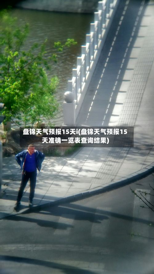 盘锦天气预报15天i(盘锦天气预报15天准确一览表查询结果)-第1张图片