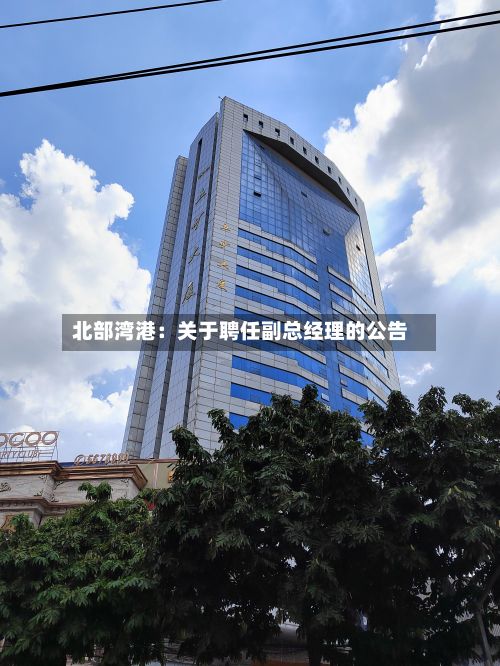 北部湾港：关于聘任副总经理的公告-第1张图片