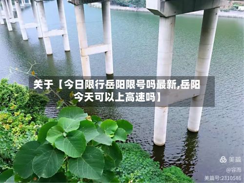 关于【今日限行岳阳限号吗最新,岳阳今天可以上高速吗】-第1张图片