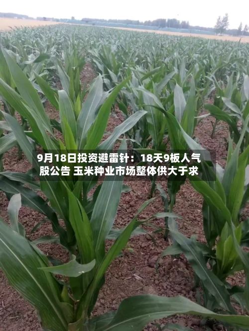 9月18日投资避雷针:18天9板人气股公告 玉米种业市场整体供大于求-第1张图片