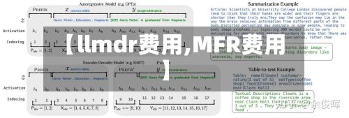 【llmdr费用,MFR费用】-第1张图片