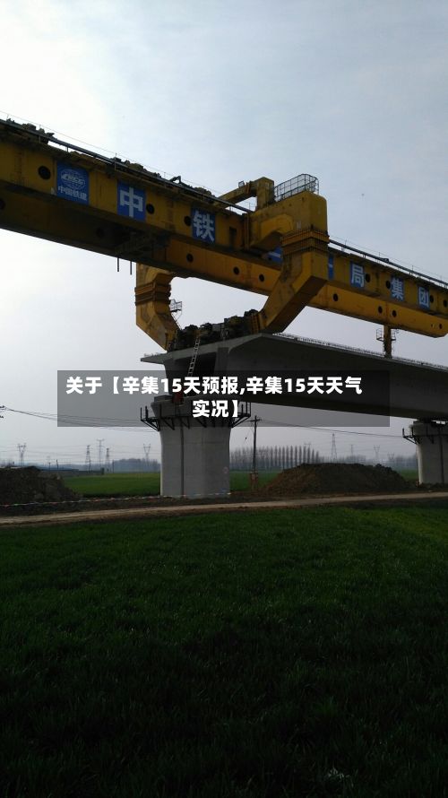 关于【辛集15天预报,辛集15天天气实况】-第1张图片
