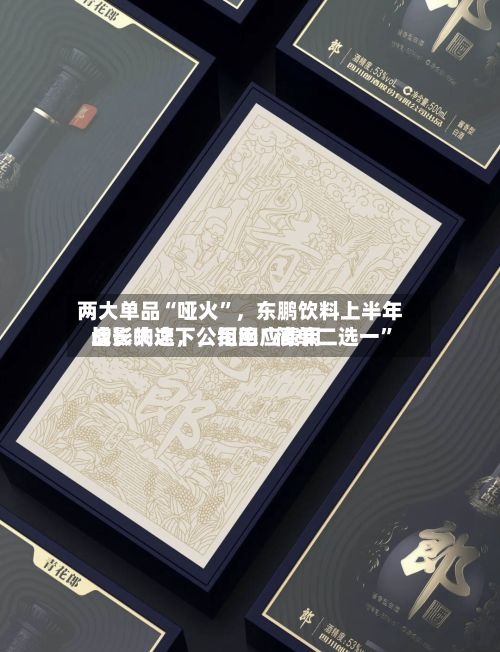 两大单品“哑火”，东鹏饮料上半年增长失速	，公司回应费用战影响之下，拒绝“简单二选一”-第1张图片