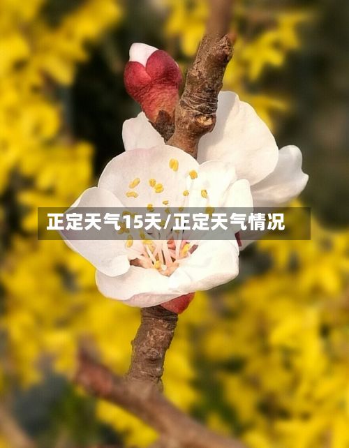 正定天气15天/正定天气情况-第1张图片