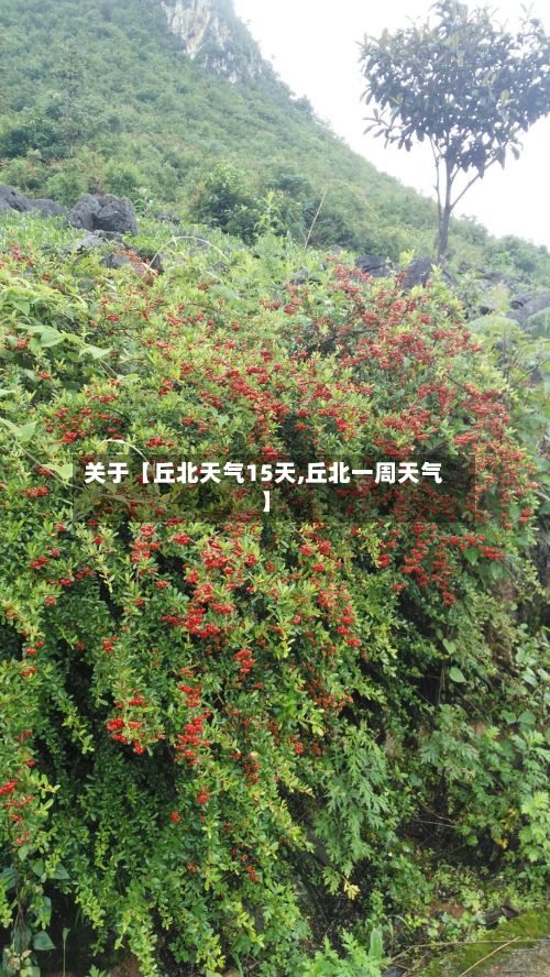 关于【丘北天气15天,丘北一周天气】-第1张图片