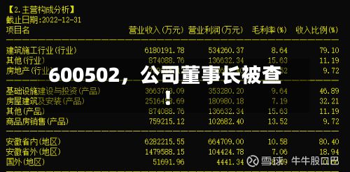 600502，公司董事长被查！-第1张图片