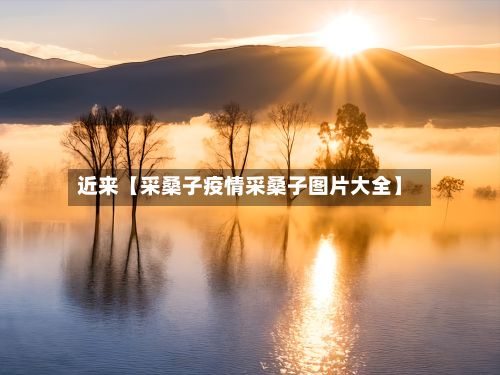 近来【采桑子疫情采桑子图片大全】-第1张图片